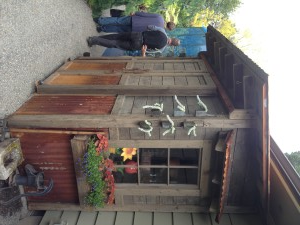 A small rustic shed with wood siding, metal accents, and plants. There are bells and decorations on the walls.