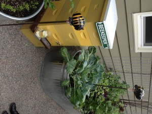 A yellow beehive, garden plants in metal troughs, and decorative bee figures.