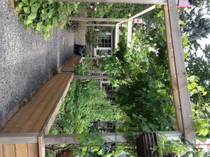 A gravel path lined with raised garden beds and a wooden pergola covered in vines.