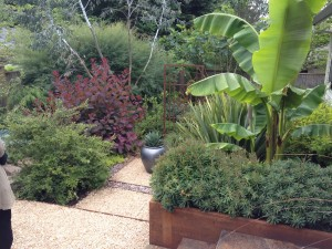 A garden path lined with gravel, various plants, including bushes, trees, and banana plants.