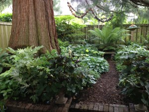 A shady garden path lined with lush greenery, ferns, and a large tree trunk.