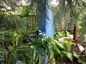 A lush garden with greenery and ferns.