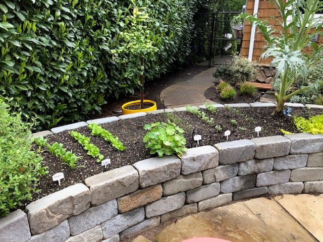 Decorative Stone Vegetable Garden