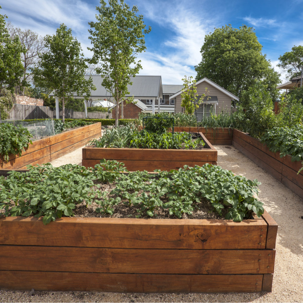 Low raised garden bed