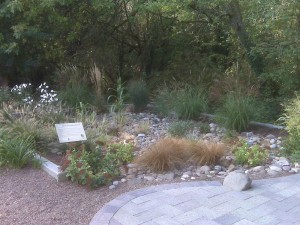 Planted area with rocks, gravel, and a paved walkway.