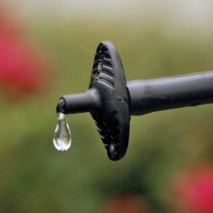 Drip Emitter