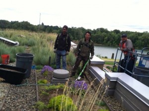 Three people are working on a rooftop garden. 