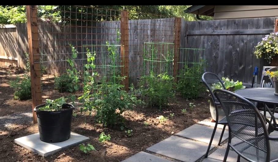 functional vegetable garden