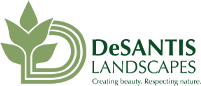 DeSantis Landscapes